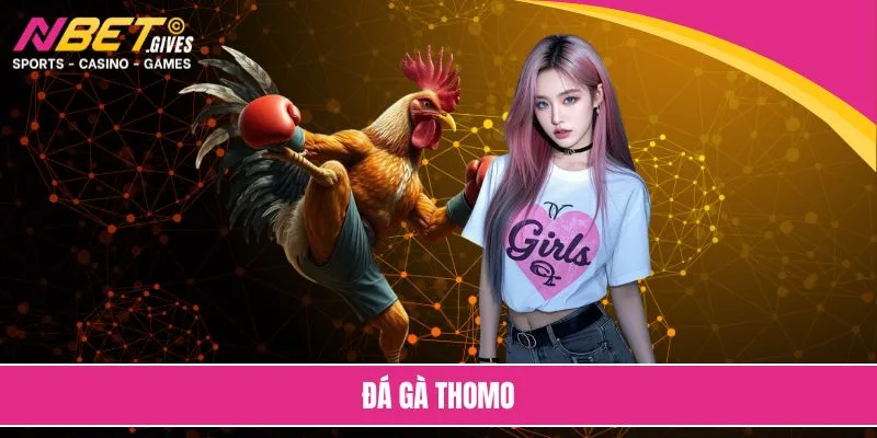 Đá gà Thomo